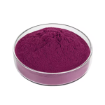 Purple Carrot Juice Powder