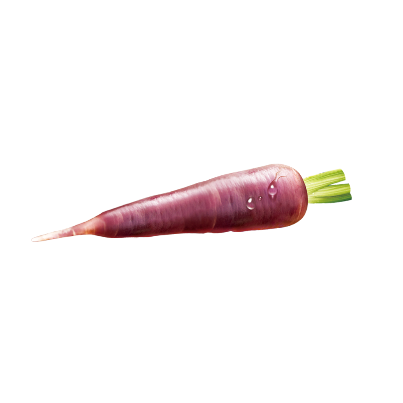 Purple Carrot Juice Powder