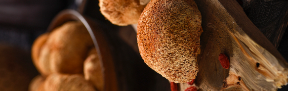 Lion's Mane Mushroom Extract Powder