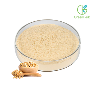 Soy Protein Isolate Powder