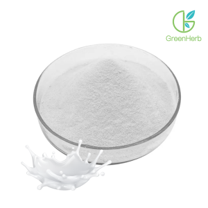 Whey Protein Isolate Powder