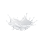 Whey Protein Isolate Powder