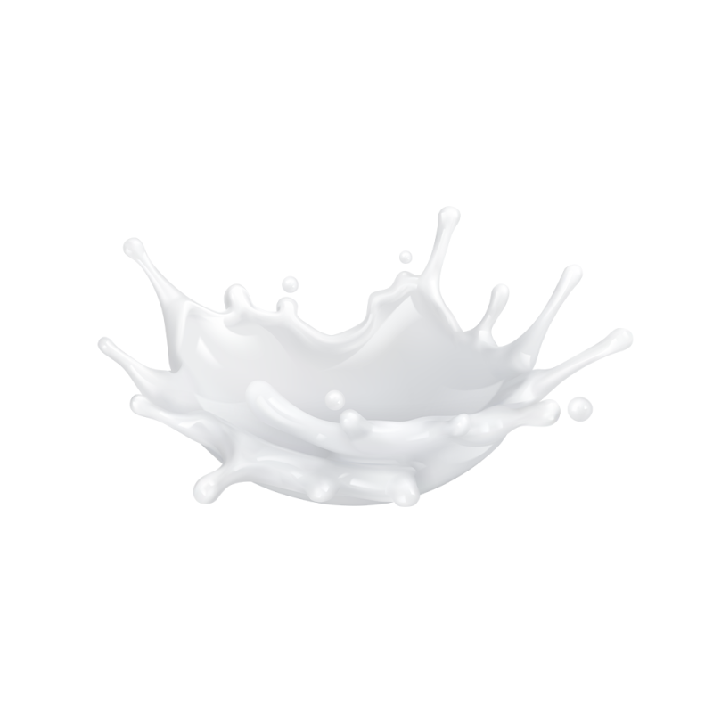 Whey Protein Isolate Powder