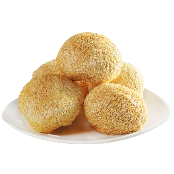 Lion's Mane Mushroom Extract Powder
