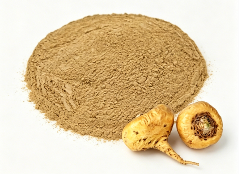 Maca Extract Powder
