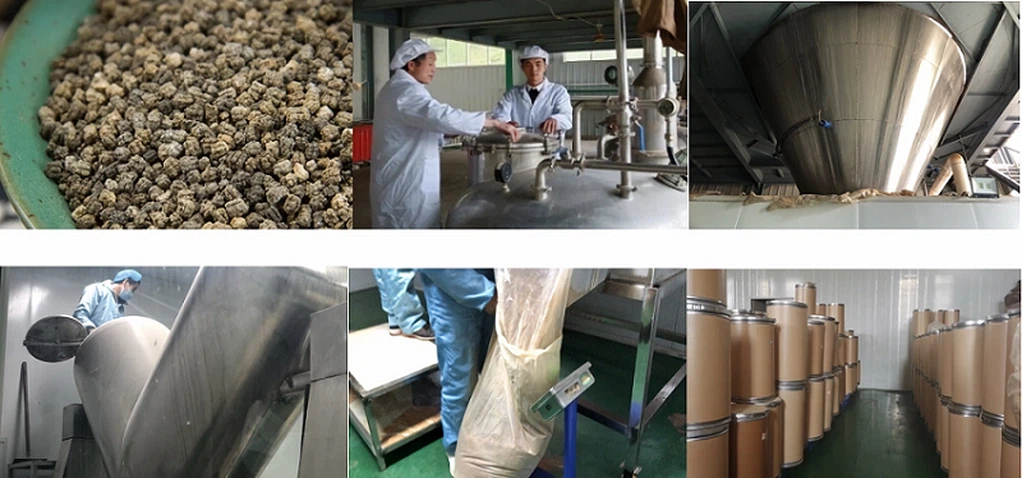 Saponification and copper substitution process flowchart for chlorophyllin production