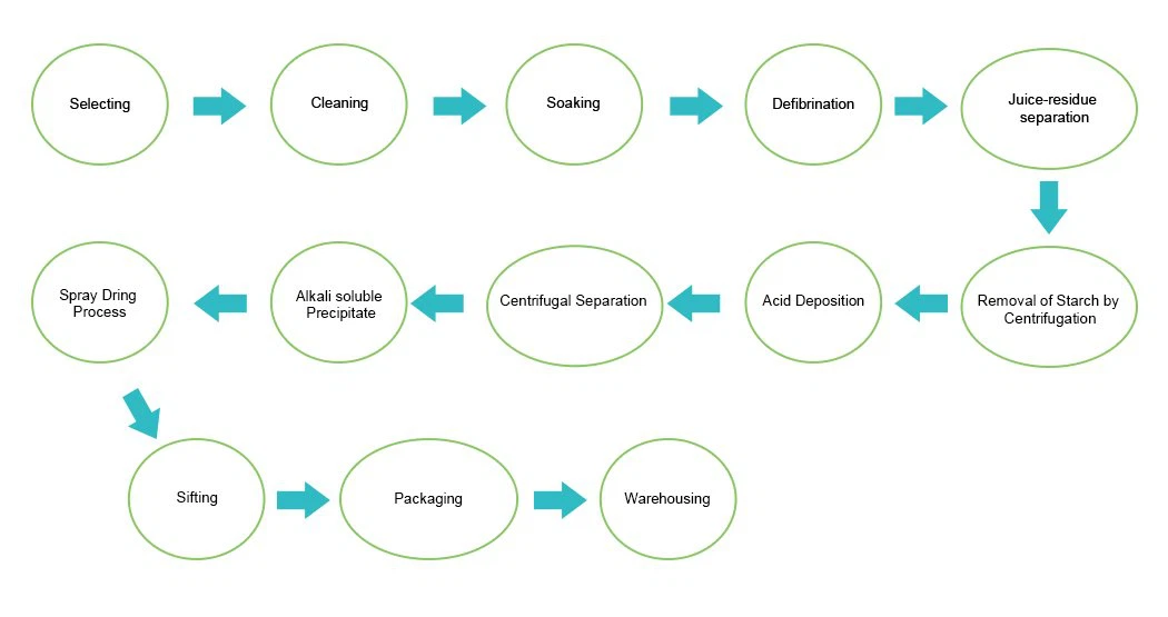 Enzymatic hydrolysis process flowchart for rice protein powder production