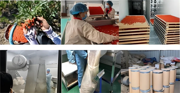 Low-temperature dehydration process flowchart for goji berry powder production