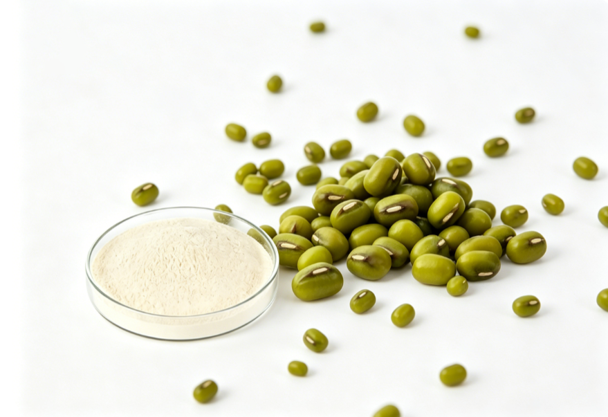 Mung Protein Powder close-up texture detail