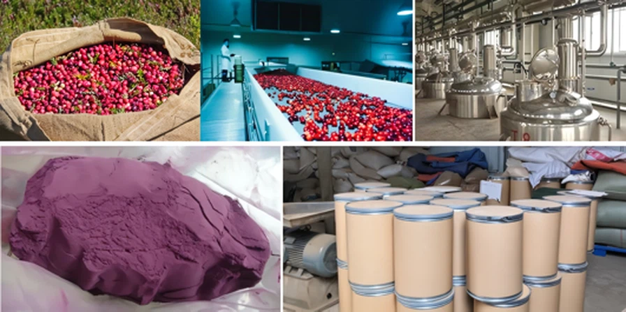 Spray drying process flowchart for cranberry juice concentration