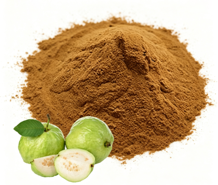 Bulk Guava Fruit Powder packaged in fiber drums

