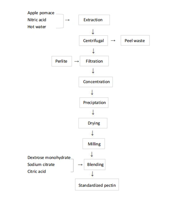 Apple Pectin Extract Powde Process