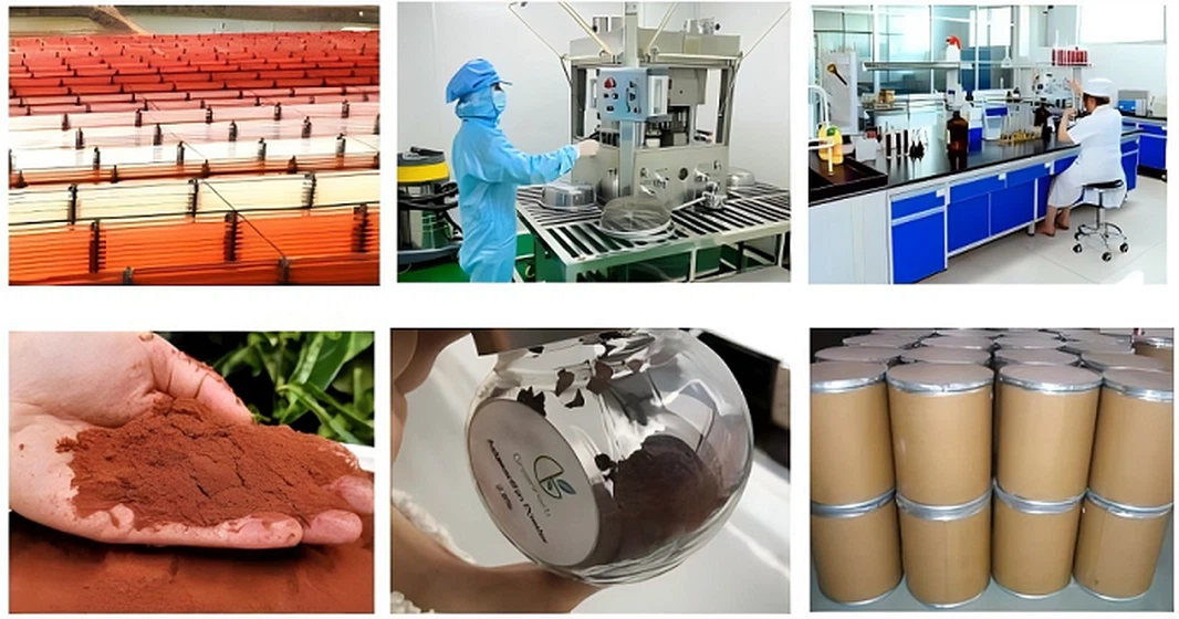 Supercritical CO₂ extraction equipment for carotenoid processing