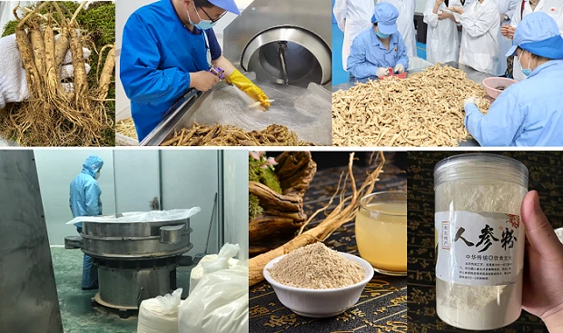 Mechanical grinding process flowchart for ginseng roots