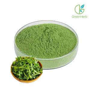 Alfalfa Grass Powder raw material close-up view