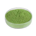 Alfalfa Leaf Extract raw material close-up view