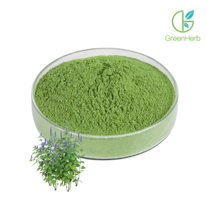 Alfalfa Leaf Extract raw material close-up view