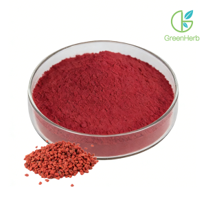 Annatto Seed Powder close-up texture detail
