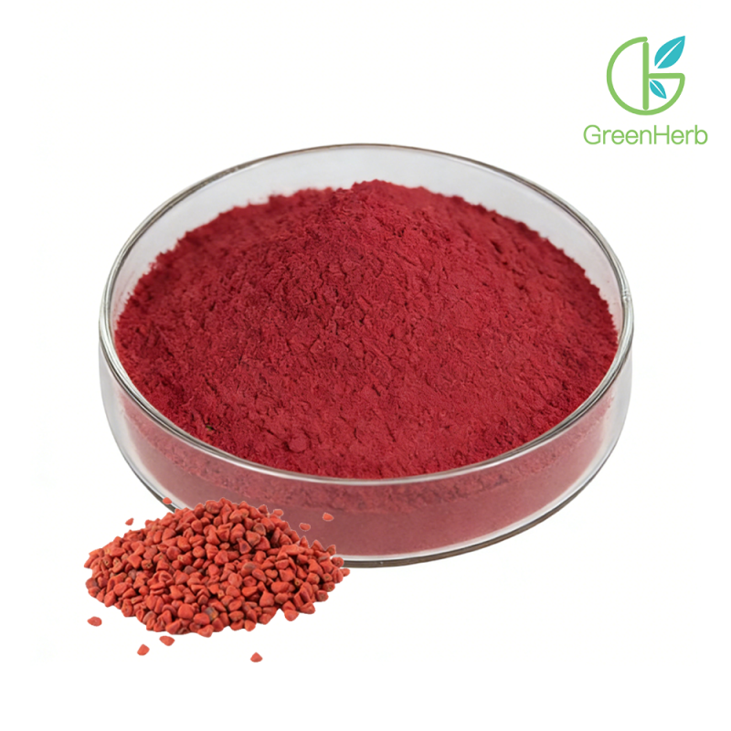 Annatto Seed Powder close-up texture detail