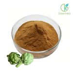 Artichoke Extract raw material close-up view