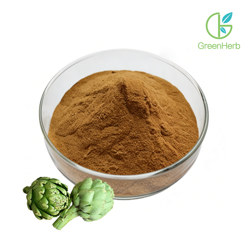 Artichoke Extract raw material close-up view