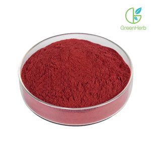 Astaxanthin Powder close-up texture detail