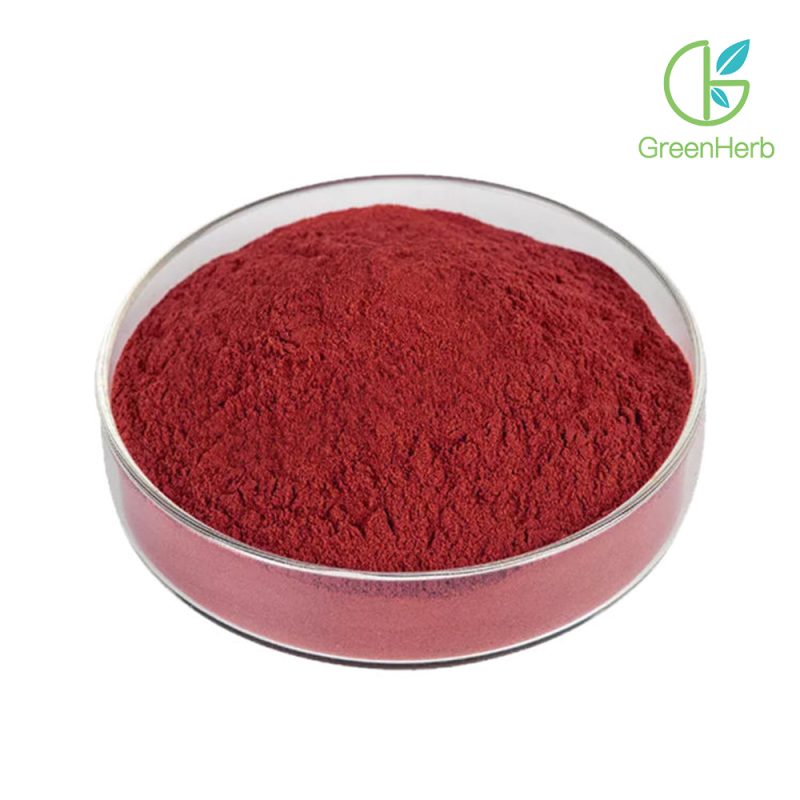 Astaxanthin Powder close-up texture detail
