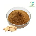 Astragalus Root Powder raw material close-up view