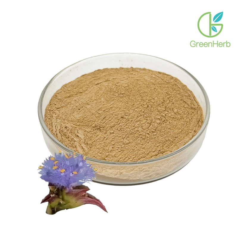 Beta Ecdysterone Powder close-up texture detail