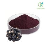 Black Goji Berry Powder close-up texture detail