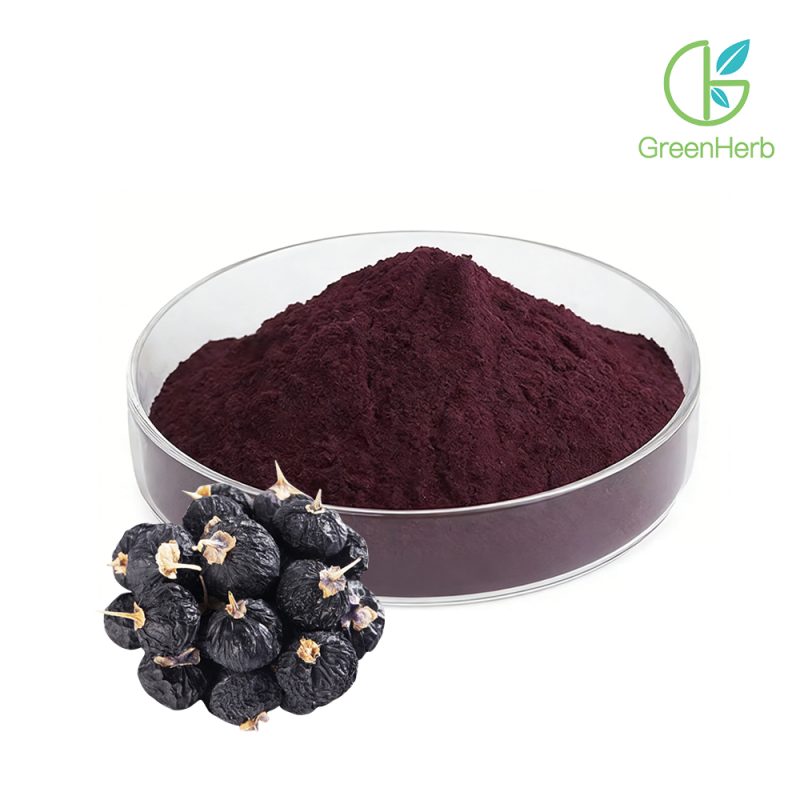 Black Goji Berry Powder close-up texture detail