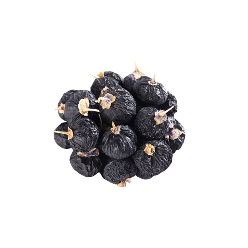 Lycium ruthenicum fresh black goji berry macro photography