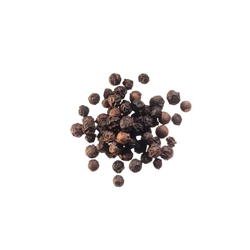 Piper nigrum dried peppercorn drupe macro photography