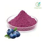 Blueberry Powder close-up texture detail