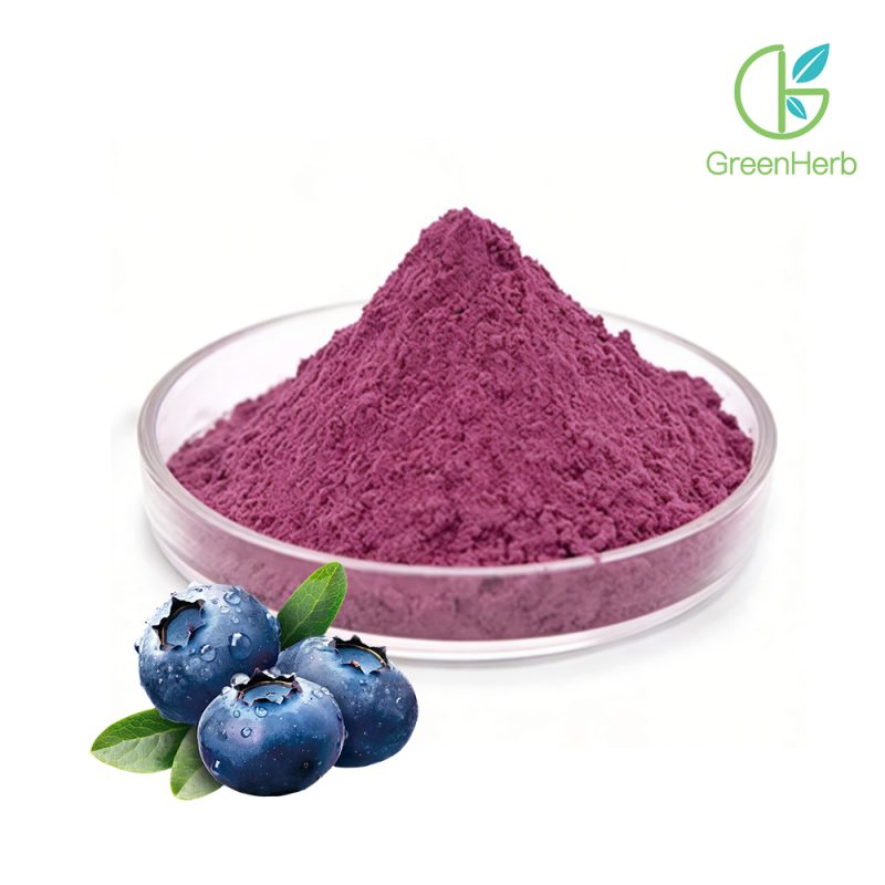 Blueberry Powder close-up texture detail