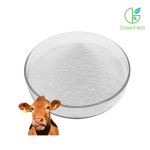 Bovine Collagen Powder raw material close-up view