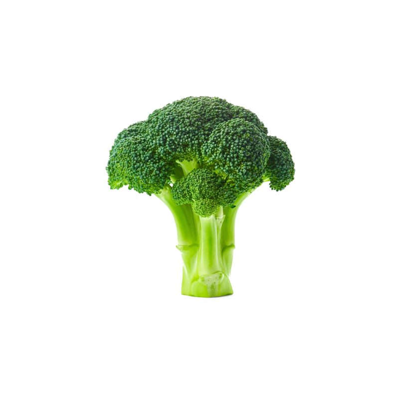 Brassica oleracea var. italica fresh floret macro photography