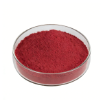 Fine milled Carotene Powder texture detail
