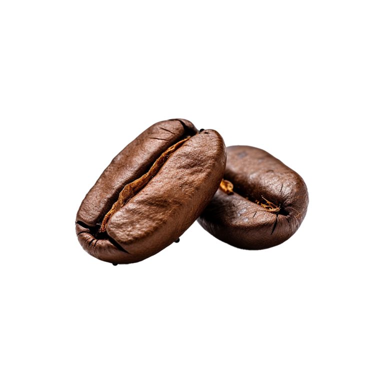 Theobroma cacao fermented seed nib macro photography