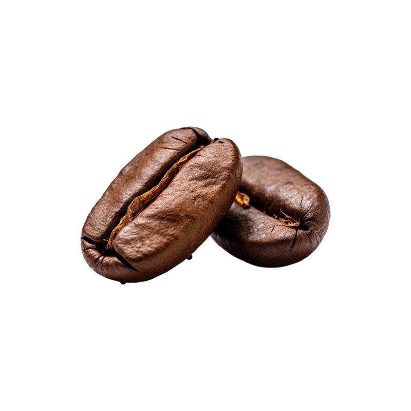 Theobroma cacao fermented seed nib macro photography