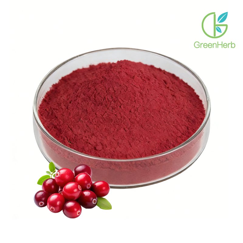 Cranberry Fruit Extract close-up texture detail