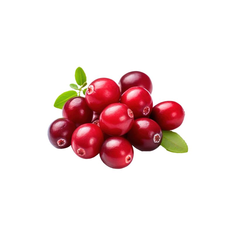 Vaccinium macrocarpon fresh cranberry fruit macro photography
