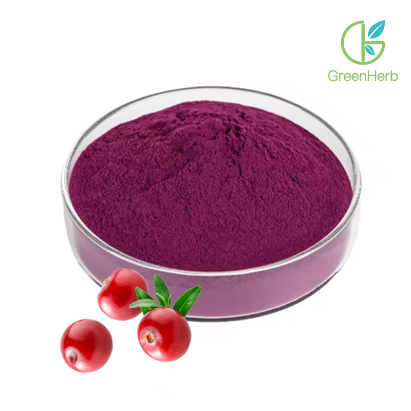 Cranberry Juice Powder raw material close-up view