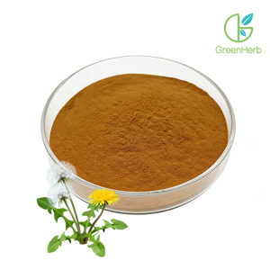 Dandelion Powder raw material close-up view