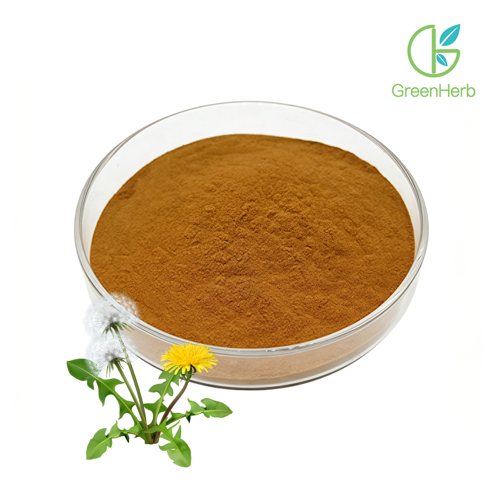 Dandelion Powder raw material close-up view Dandelion Powder raw material close-up view