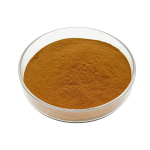 Bulk Dandelion Powder packaged in fiber drums