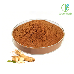 Dong Quai Extract Powder raw material close-up view