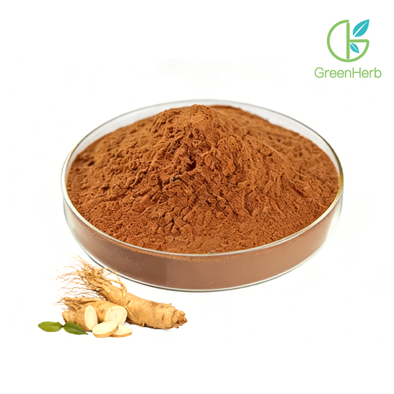Dong Quai Extract Powder raw material close-up view