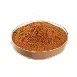 Dong Quai Extract Powder raw material close-up view