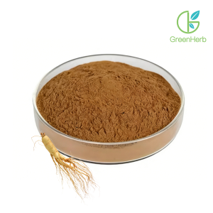 Ginseng Powder raw material close-up view